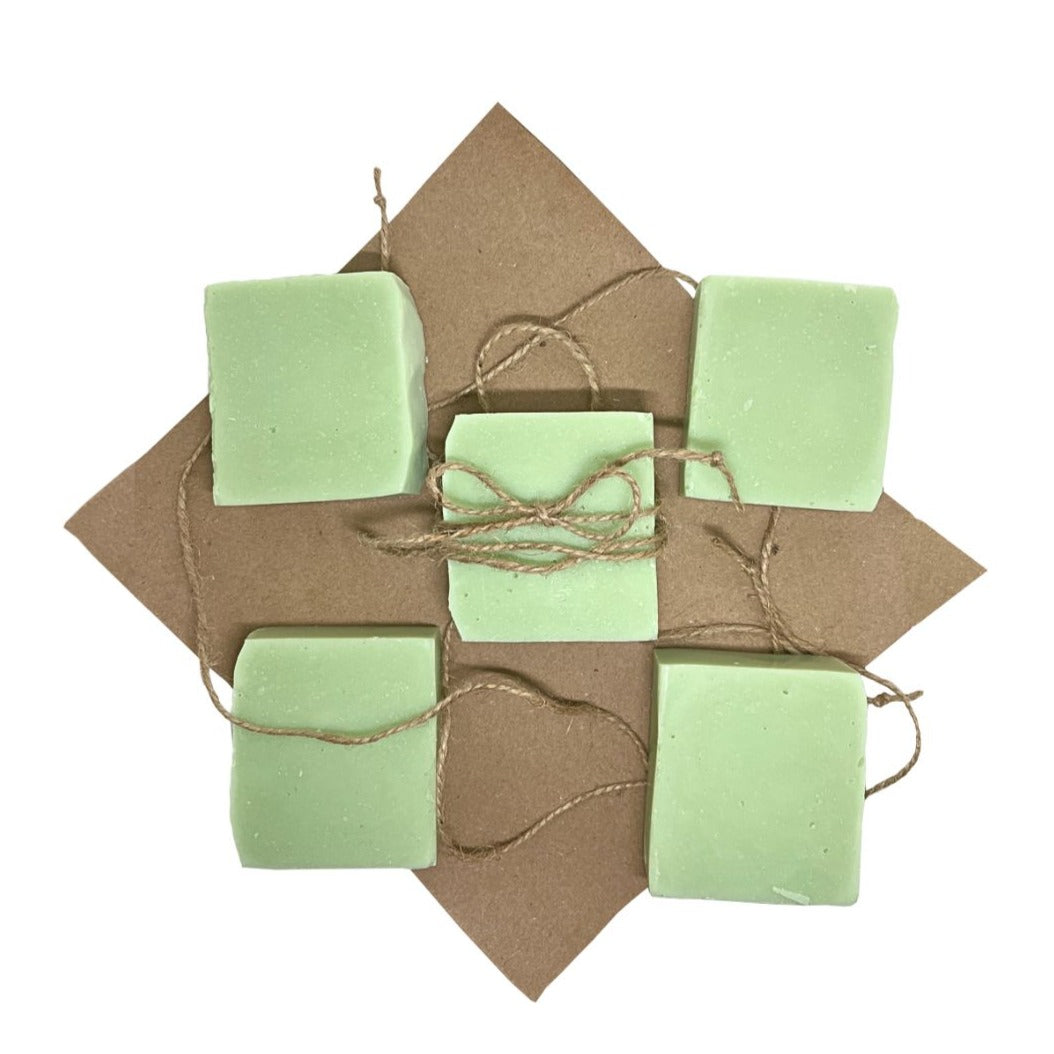 Silva Irvine's "Green Forest" soap bar with Tea Tree essential oil - A Simple Kind of Clean